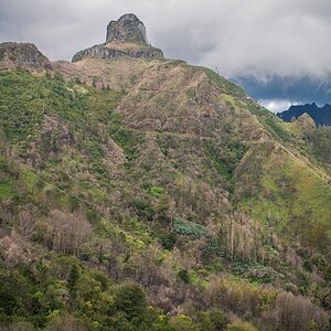 comp Madeira Forum 13 cop (11 von 1)