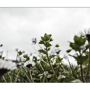 BodenDSC 5723