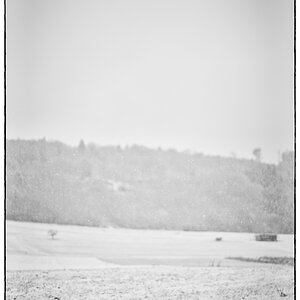 SchneePZ1 4806
