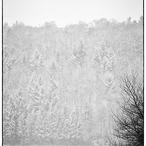 SchneePZ1 4820