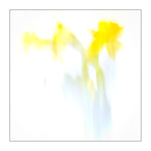 51/365