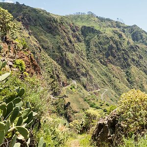 Madeira (59)