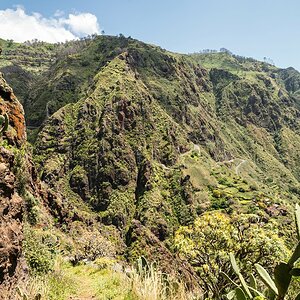 Madeira (60)