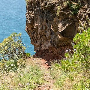 Madeira (62)
