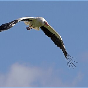 D71 6162 Abflug V