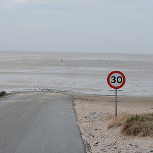 DSC 2492 NF