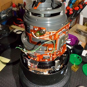 DSC 8871
