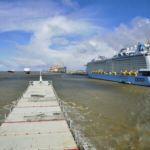 Colpier Anthem of the Seas