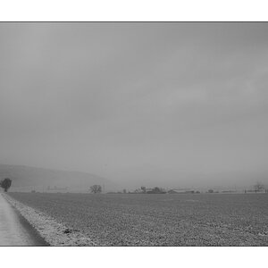 MozartDSC 5683