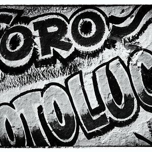 Toro Zotoluca