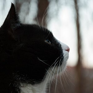 20150212 DSC 3090