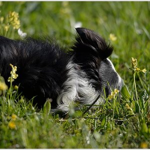 DSC 5209