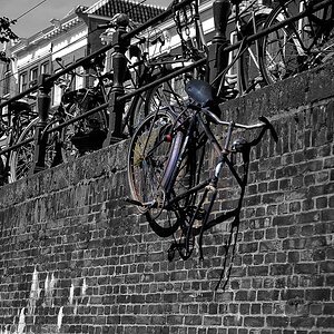 D80 Fahrrad