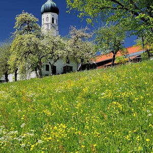 Frühling im bayerischen Voralpenland