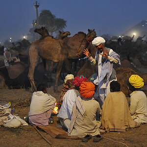 Photo 5 web