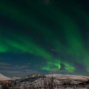 2015 Tromsø 123
