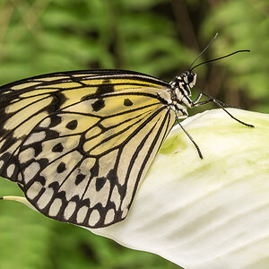 20150408  DHM5589