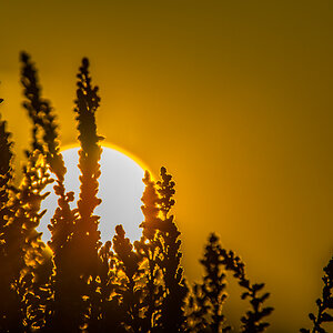 Sonnenuntergang