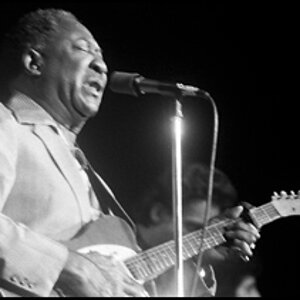 Muddy Waters 1979