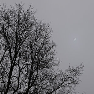 20150320 110535 L1010439 D LUX (Typ 109) 800x800