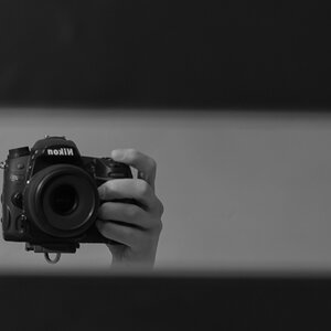 198/365