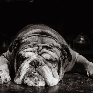 Don't wake a sleeping dog.