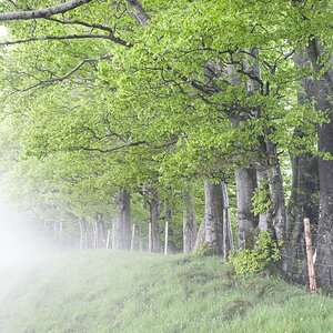 IMG4031 01