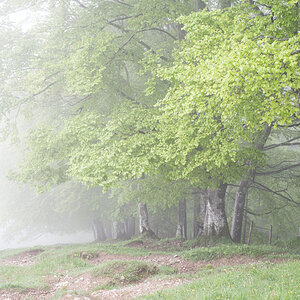 IMG4067 01