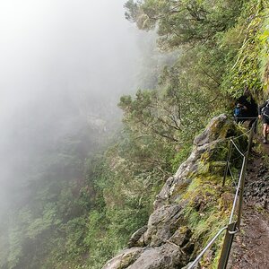 Madeira (26)