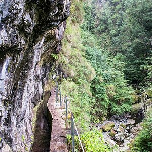 Madeira (28)