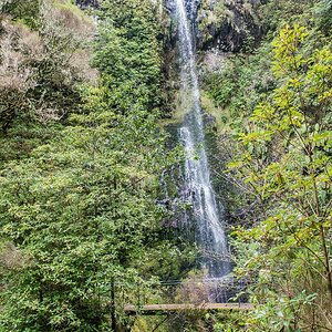 Madeira (31)