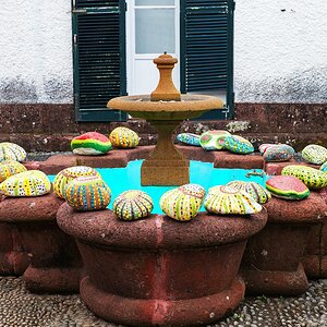 Madeira (32)