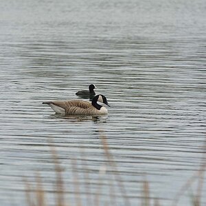 DSC 2379anf