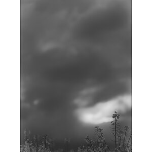 FarbePZ1 6094