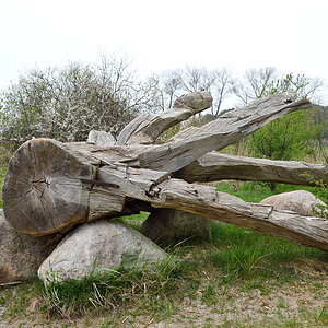 Gnitz, Steilküste