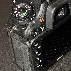 DSC 8831