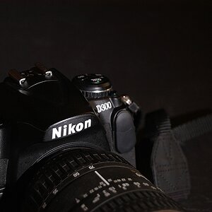 KR DSC 1789 1