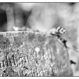 025 F007808c