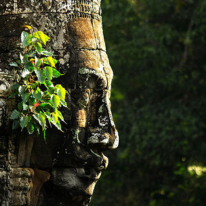 Bayon R33