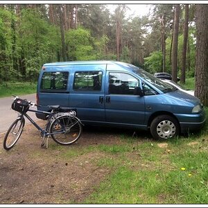der bus 02