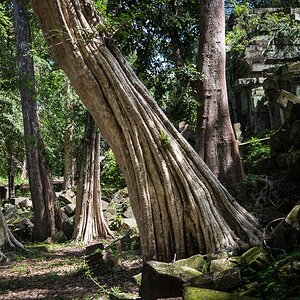 KHM Beng Mealea048