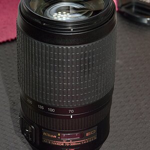 DSC 8891