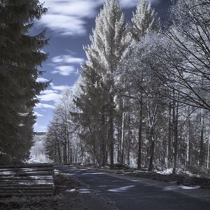 Trupacher Heide