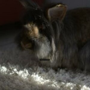Test 1
