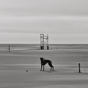 L1013766 Bearbeitet