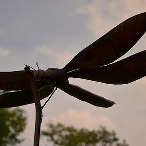 Insekten (1)