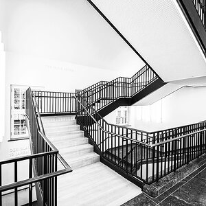 Lichtung
Lenbachhaus München