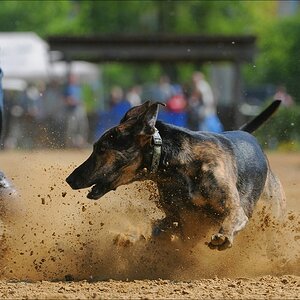 comp NWR Spaßrennen 3118