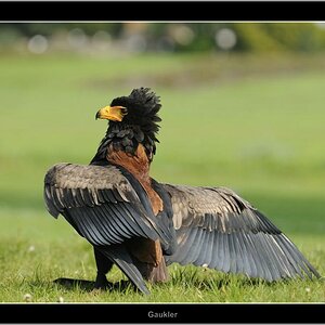 Vogelpark 01