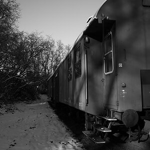 DPP 0449